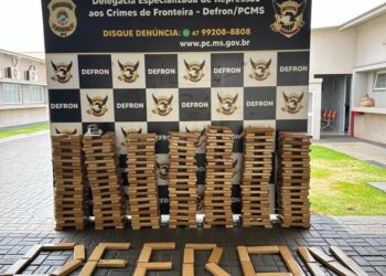 Polícia Civil apreende 375 kg de maconha em quitinete usada para tráfico em Dourados
