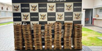 Polícia Civil apreende 375 kg de maconha em quitinete usada para tráfico em Dourados