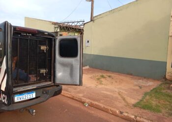Marido é preso por morte da esposa em Ponta Porã; versão de suicídio levanta suspeitas