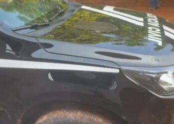 Operação conjunta combate tráfico de drogas em Rio Brilhante