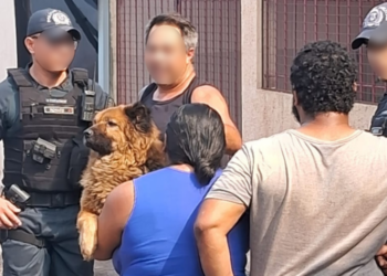 Vizinhos salvam cachorro de incêndio em residência no Aero Rancho, em Campo Grande