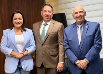 Em busca de apoio, Adriane conversa com presidente e líder do governo na ALEMS