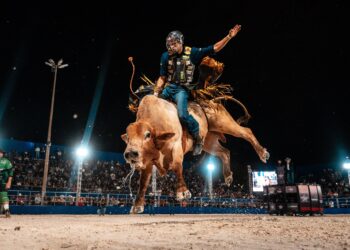 Etapa Master da PBR inicia hoje na Expogenética MS em Campo Grande