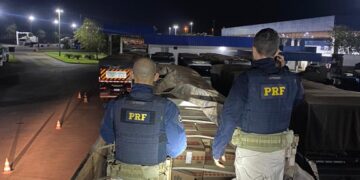 PRF apreende 600 mil maços de cigarros contrabandeados em Eldorado