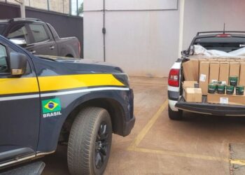 PRF intercepta carga de fumo estrangeiro avaliada em mais de R$ 30 mil em Três Lagoas