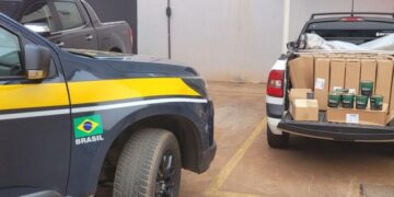 PRF intercepta carga de fumo estrangeiro avaliada em mais de R$ 30 mil em Três Lagoas