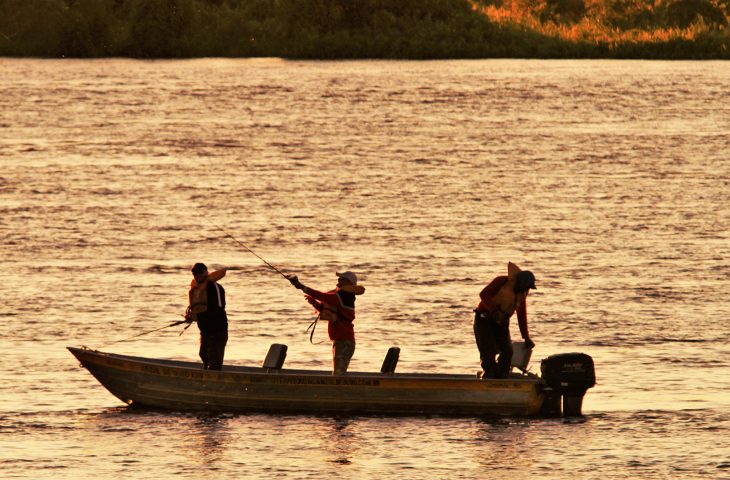 Flávio Cabo Almi propõe diálogo sobre decreto que afeta pesca profissional em MS