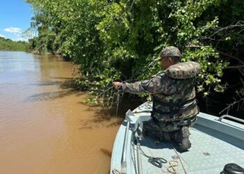 Fiscalizações aumentam com a aproximação do período de defeso em Mato Grosso do Sul