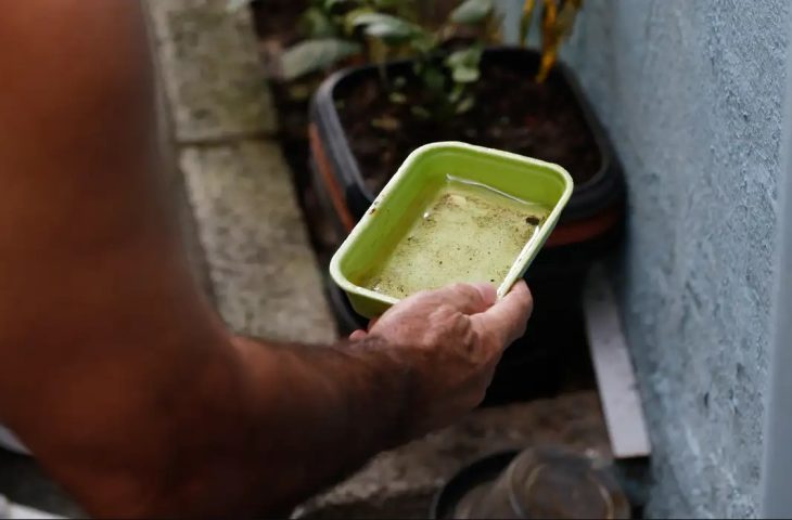 Mato Grosso do Sul registra 15.927 casos confirmados de dengue em 2024 e 30 óbitos relacionados à doença