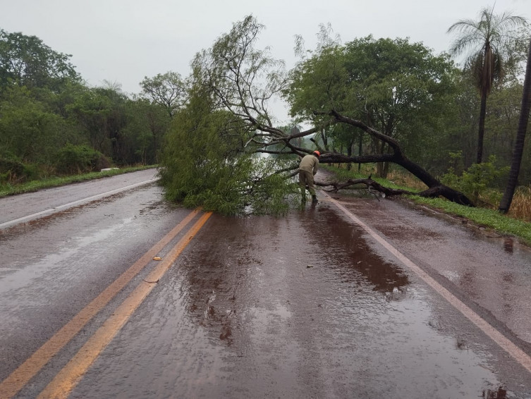 Bombeiros de Corumbá atendem a quatro ocorrências em 24 horas, incluindo incêndio em coqueiro atingido por raio