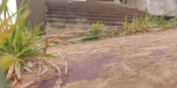 Polícia prende suspeito de matar homem a facadas no Paulo Coelho Machado