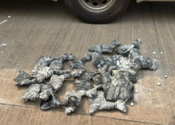 Operação conjunta resulta na apreensão de 2 toneladas de mercadorias irregulares em Corumbá, incluindo fetos de lhama