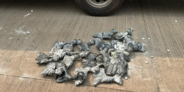 Operação conjunta resulta na apreensão de 2 toneladas de mercadorias irregulares em Corumbá, incluindo fetos de lhama