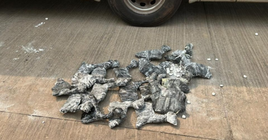 Operação conjunta resulta na apreensão de 2 toneladas de mercadorias irregulares em Corumbá, incluindo fetos de lhama