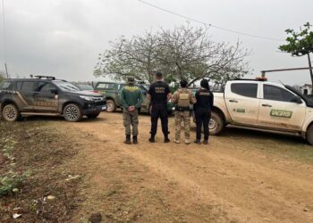 Operação no Pantanal desarticula esquema de incêndio e grilagem em Corumbá