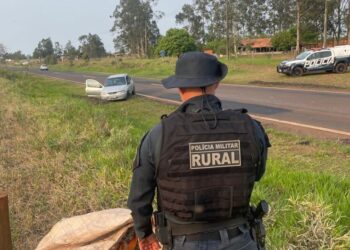 Polícia apreende mais de 30 kg de drogas em carro abandonado na MS-164, em Ponta Porã