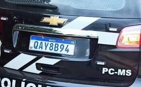 Mais de 30 cabeças de gado furtadas são recuperadas e suspeito é preso por receptação