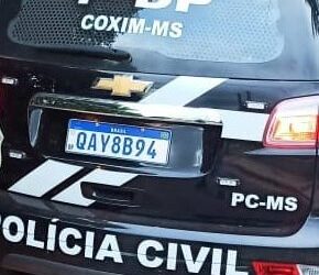 Mais de 30 cabeças de gado furtadas são recuperadas e suspeito é preso por receptação