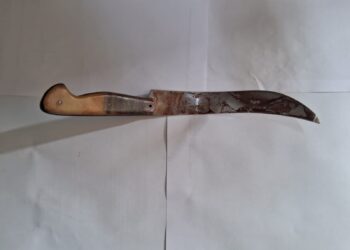 Homem que tentou assassinar a esposa em Coxim tentou se enforcar após o crime