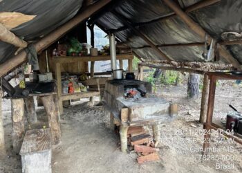 Vídeo: PF resgata 15 trabalhadores em condições degradantes no Pantanal de MS