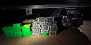 Carro estacionado em casa do Parque do Lageado guardava 568 kg de maconha 