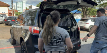 Presa quadrilha que furtava veículos e aplicava golpes durante a Operação Ruptor