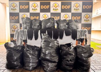 Motorista é flagrado com mais de 100 kg de cabelo humano em Maracaju