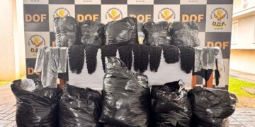 Motorista é flagrado com mais de 100 kg de cabelo humano em Maracaju