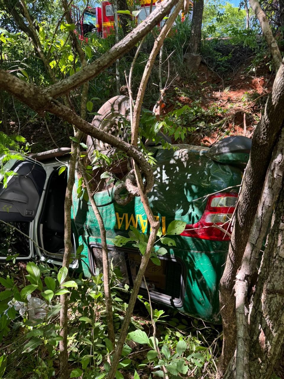 Veículo do Ibama cai em barranco e 5 pessoas ficam feridas na BR-262 em MS