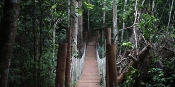 Descubra as belezas naturais de Campo Grande no Parque Estadual Matas do Segredo