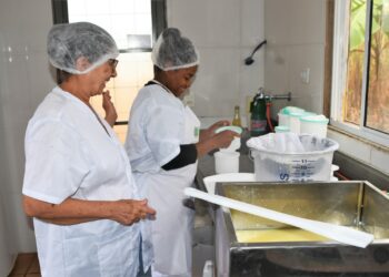 2ª tem oficina gratuita sobre selo SISBI; confira como participar 