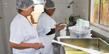 2ª tem oficina gratuita sobre selo SISBI; confira como participar 