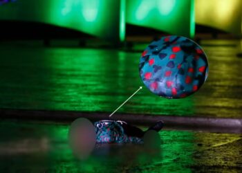 Coringa: homem que “explodiu” próximo ao STF usava terno com símbolos de baralho 