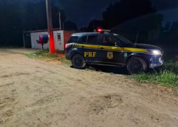 Trio é preso em flagrante com 13 kg de Skunk em Terenos