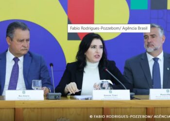 Tebet: mudanças nos pisos da saúde e educação trariam pouca economia
