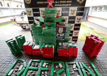 Operação Protetor: Polícia Civil apreende 1.786 kg de maconha e prende dois suspeitos em Dourados