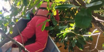 Durante confraternização com colegas de trabalho, homem entra em rio e morre afogado em MS