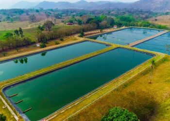Sanesul investe R$ 655 mil na ampliação do saneamento em Bodoquena