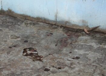 Discussão por dívida em confraternização termina em homicídio em Campo Grande