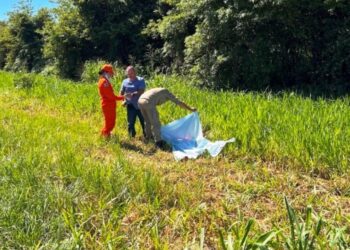 Corpo de mulher é encontrado às margens da BR-376 em Ivinhema