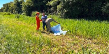 Corpo de mulher é encontrado às margens da BR-376 em Ivinhema