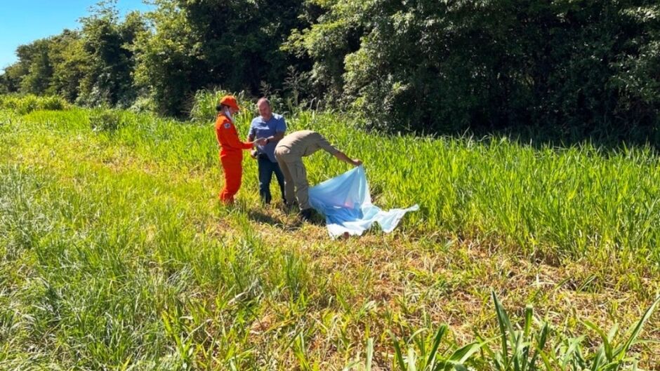 Corpo de mulher é encontrado às margens da BR-376 em Ivinhema