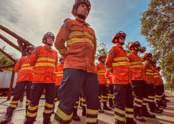 União de Esforços Entre Instituições e Poderes Reduz Impactos de Incêndios no Pantanal