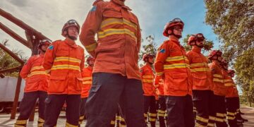 União de Esforços Entre Instituições e Poderes Reduz Impactos de Incêndios no Pantanal