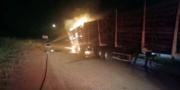 Carreta carregada com eucalipto pega fogo na BR-262, em Três Lagoas