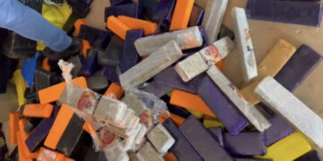 Polícia queima 933 quilos de maconha em MS