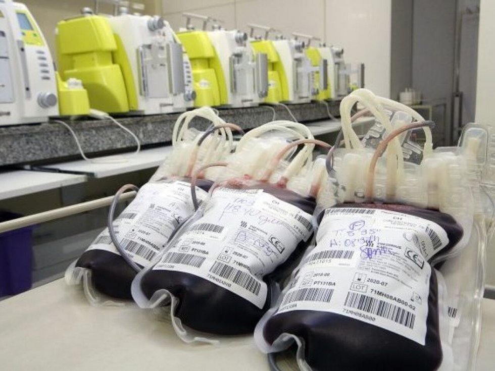 Rede Hemosul MS faz apelo por doações de sangue durante festas de fim de ano
