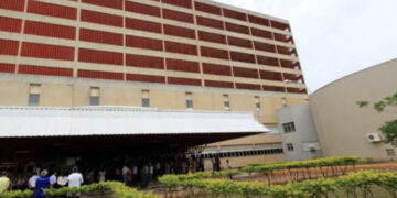 Criança de 6 anos é socorrida após levar mais de 1,1 mil picadas de abelha em MS