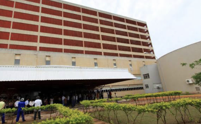 Criança de 6 anos é socorrida após levar mais de 1,1 mil picadas de abelha em MS