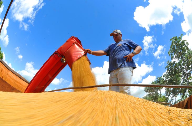 Produtores rurais devem declarar área plantada de soja até 10 de janeiro de 2025